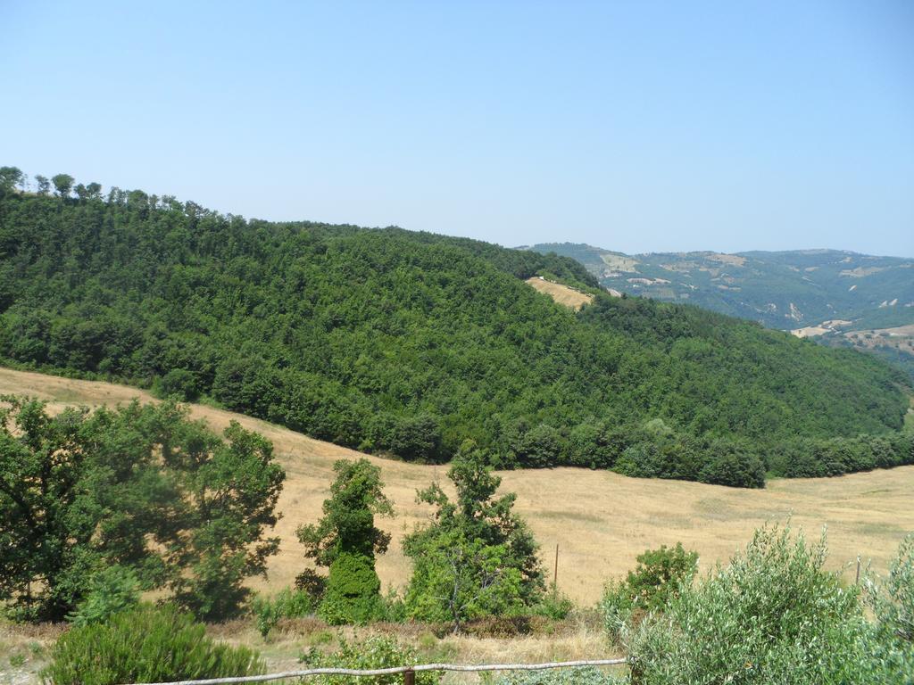 Agriturismo La Terrazza Valfabbrica Kültér fotó