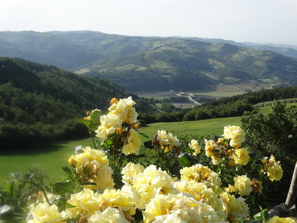 Agriturismo La Terrazza Valfabbrica Kültér fotó